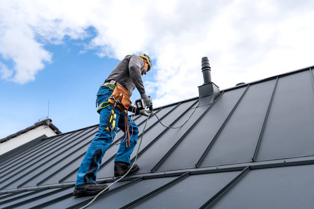 Best Steel Roofing  in Orofino, ID